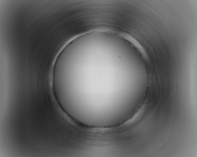X0000094320860200711161928