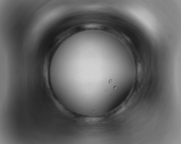 X0000094320861200711161928