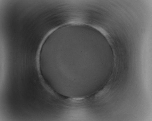 X0000094320864200711161928