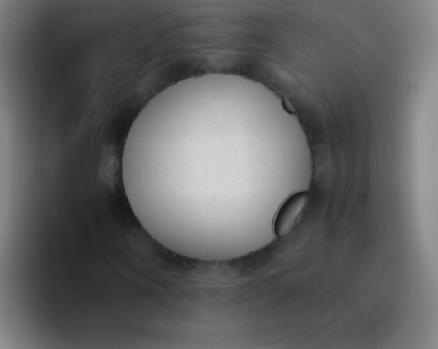 X0000094320866200711161927