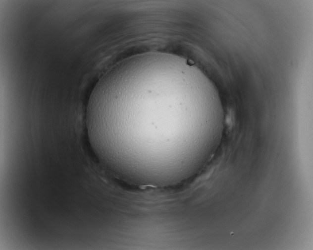 X0000094320867200711161927