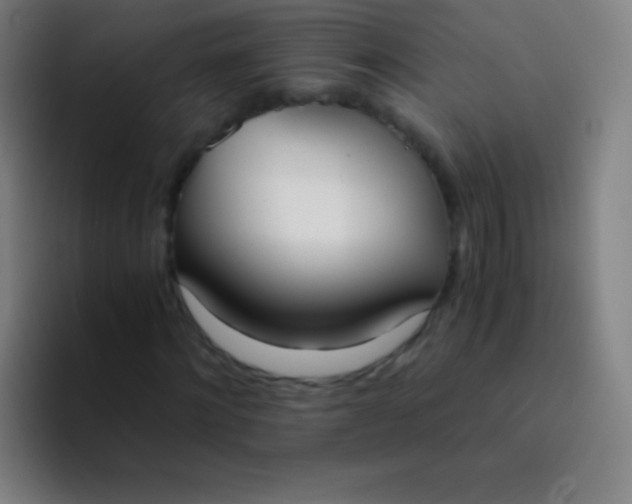 X0000094320868200711161927