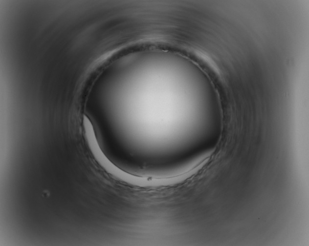 X0000094320872200711161927