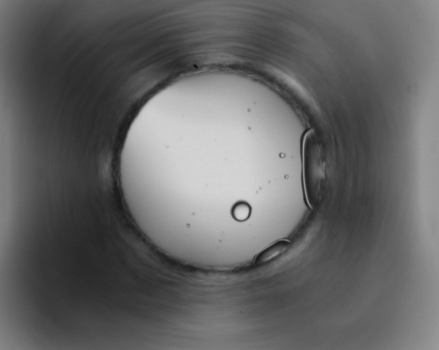 X0000094320873200711161927