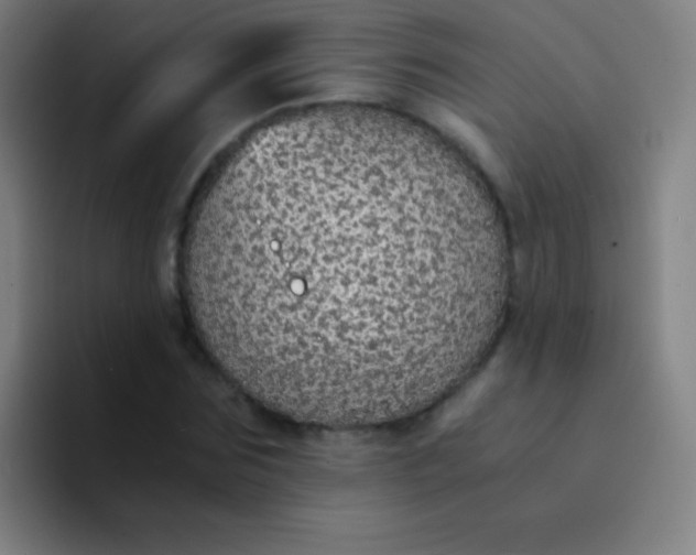 X0000094320875200711161927