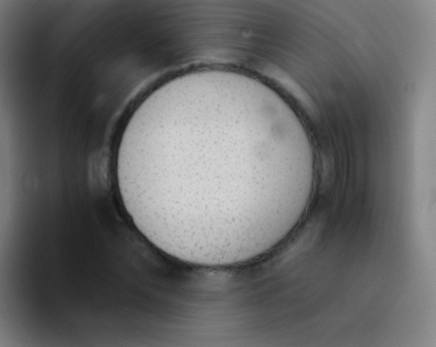 X0000094320878200711161927