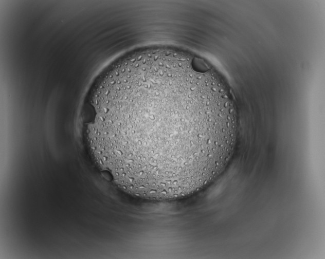 X0000094320879200711161927