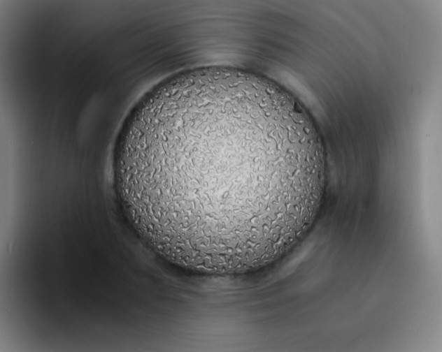 X0000094320883200711161927