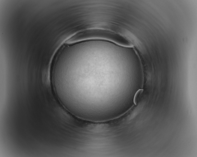 X0000094320884200711161927
