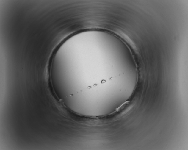 X0000094320885200711161927