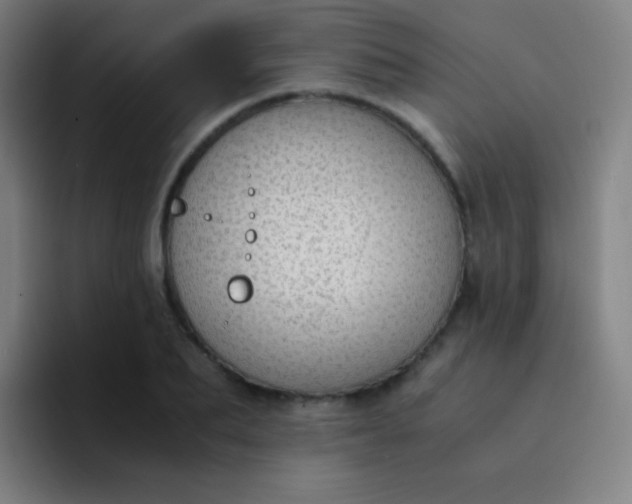 X0000094320887200711161927