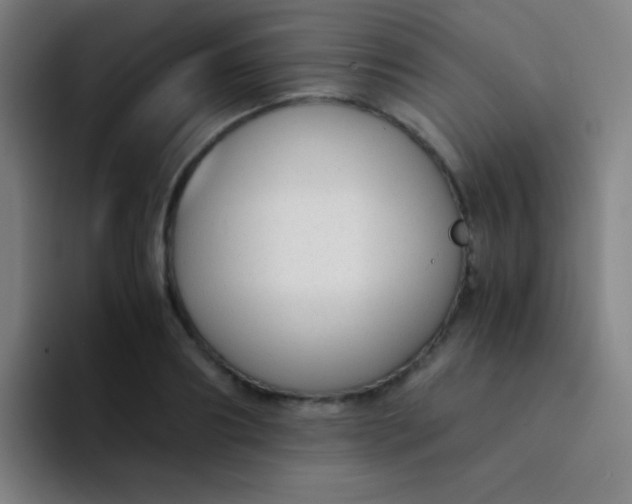 X0000094320890200711161927