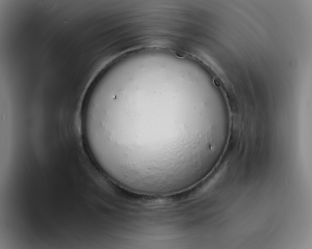 X0000094320891200711161927