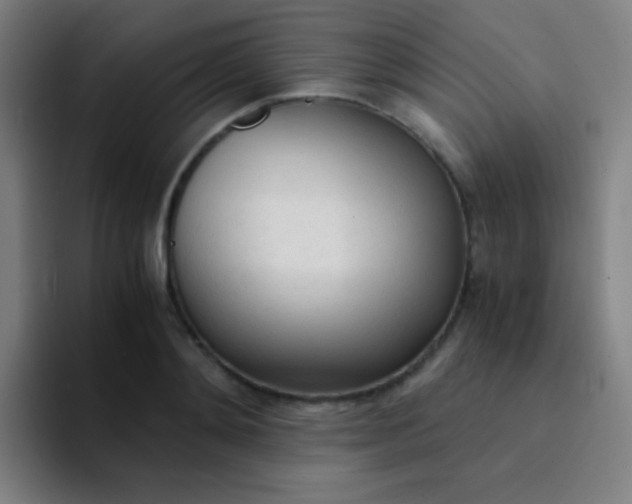 X0000094320892200711161927