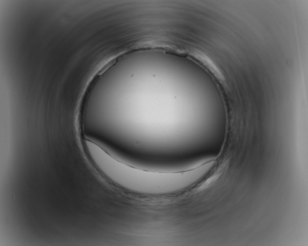 X0000094320893200711161927