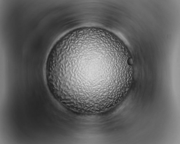 X0000094320895200711161927