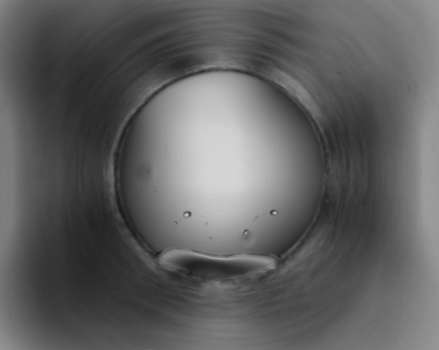 X0000094320898200711161927