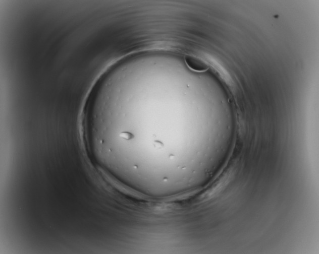 X0000094320899200711161927