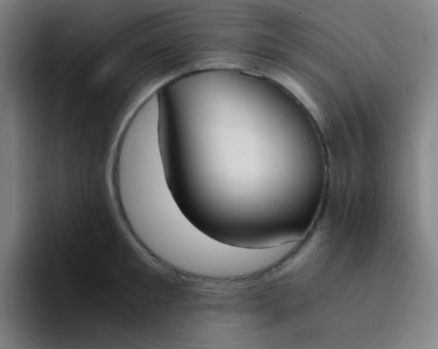 X0000094320901200711161927