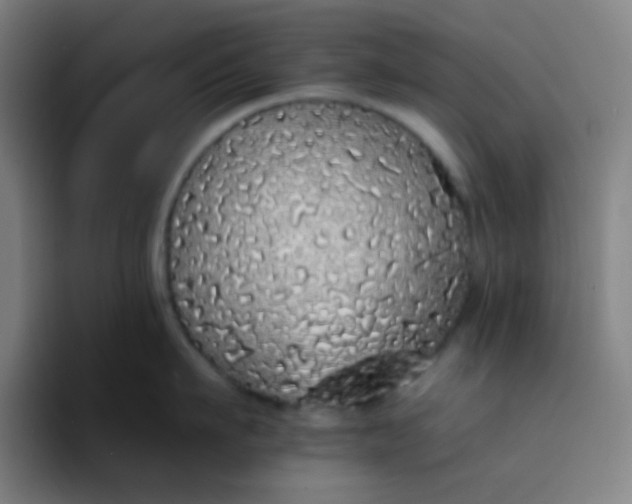 X0000094320911200711161927