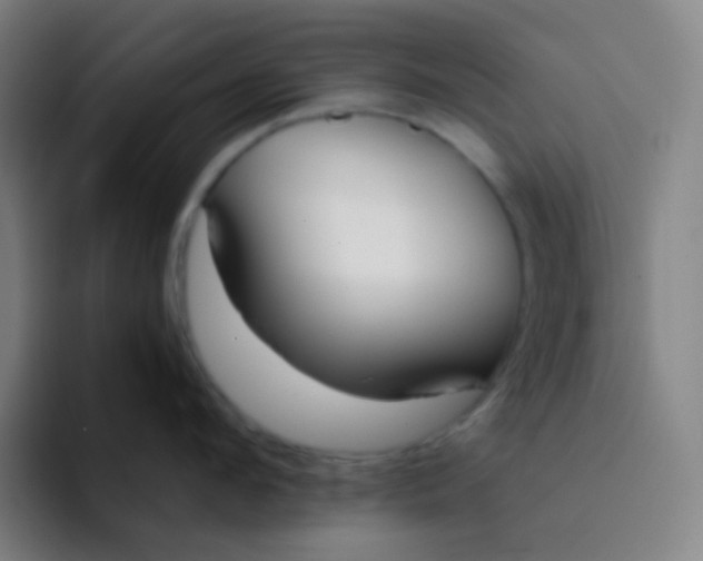 X0000094320912200711161927