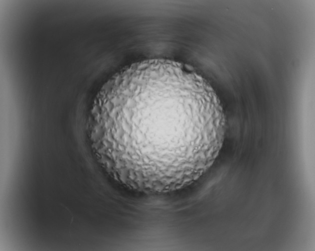X0000094320913200711161926