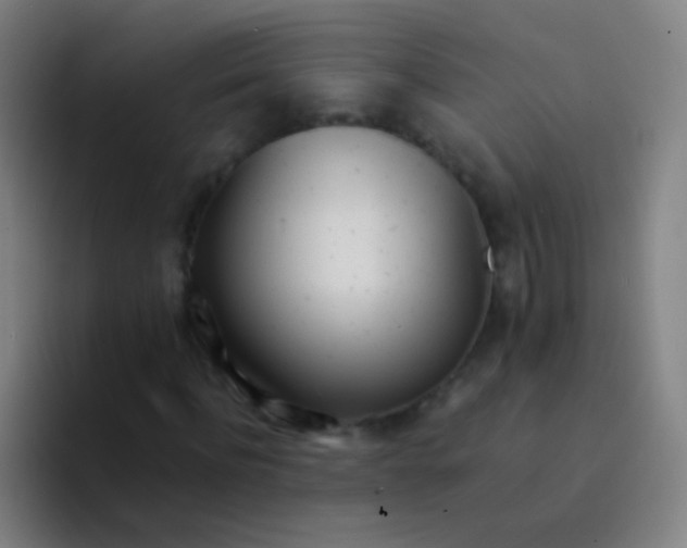 X0000094320916200711161926