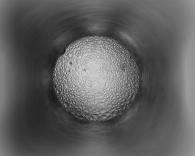 X0000094320917200711161926