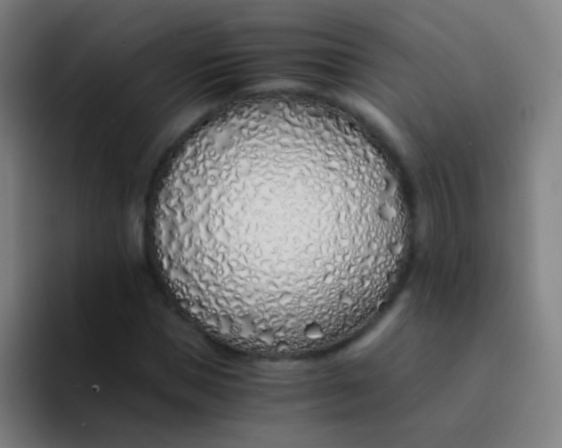 X0000094320921200711161926