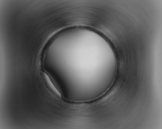 X0000094320926200711161926