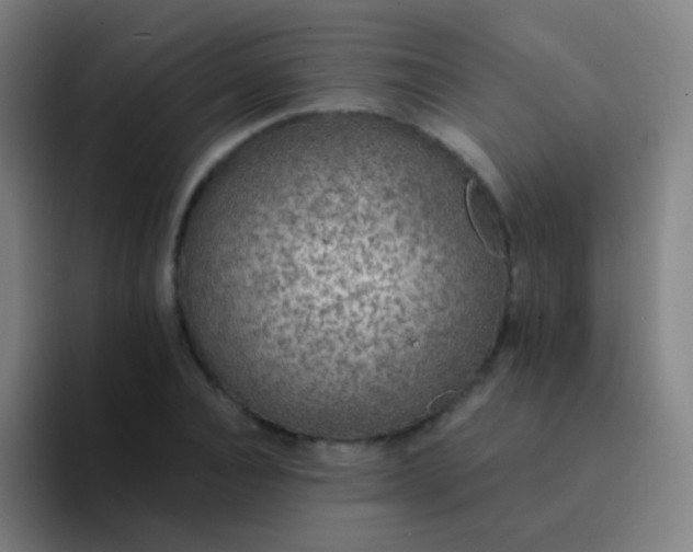 X0000094320928200711161926