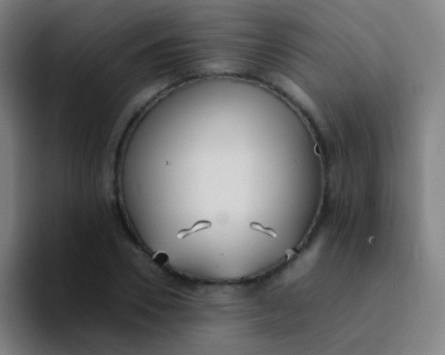 X0000094320930200711161926
