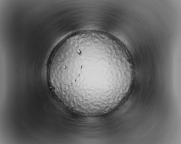 X0000094320933200711161926