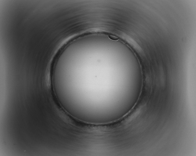 X0000094320934200711161926