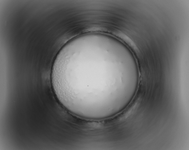 X0000094320937200711161926