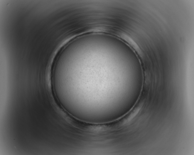 X0000094320939200711161926