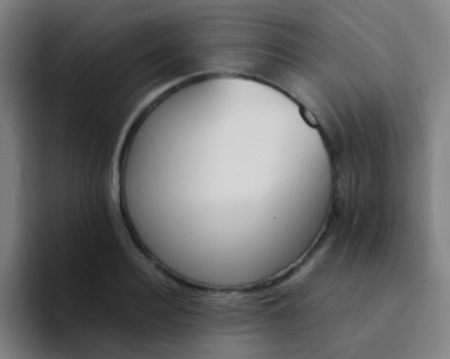 X0000094320940200711161926