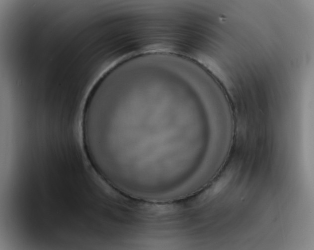 X0000094320941200711161926