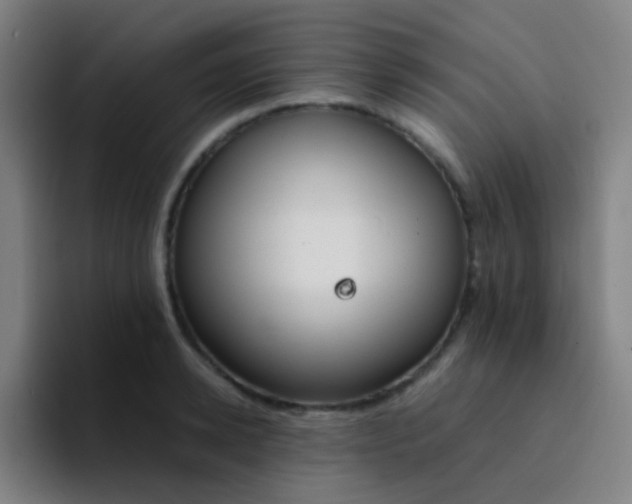 X0000094320942200711161926