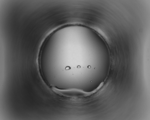 X0000094320943200711161926