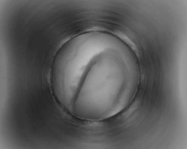 X0000094320945200711161926