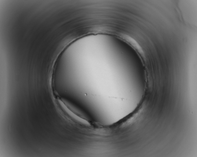 X0000094320946200711161926