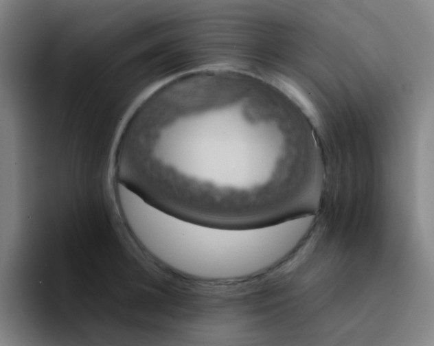 X0000094320948200711161927