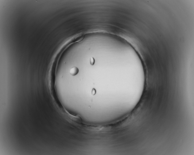 X0000094320949200711161927