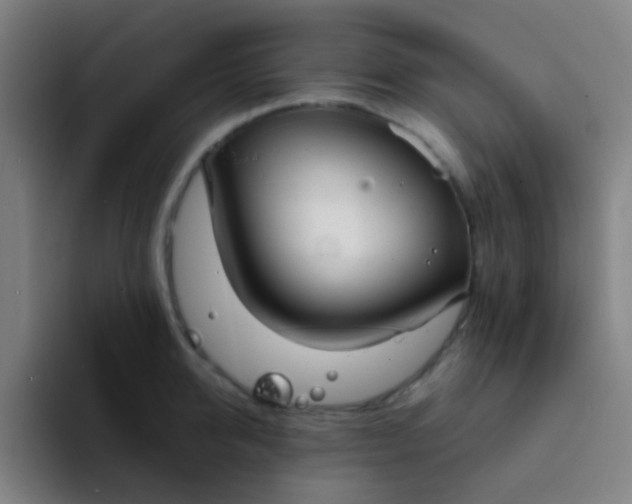 X0000094320950200711161927