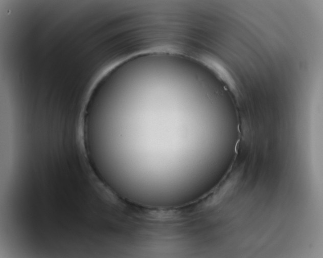 X0000094320952200711161927