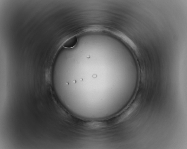 X0000094320953200711161927