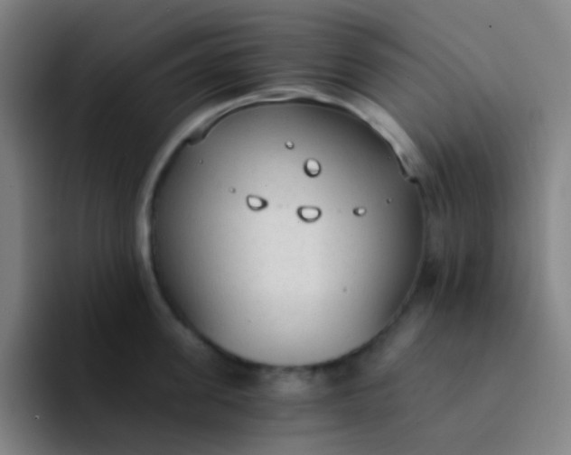X0000094320955200711161927