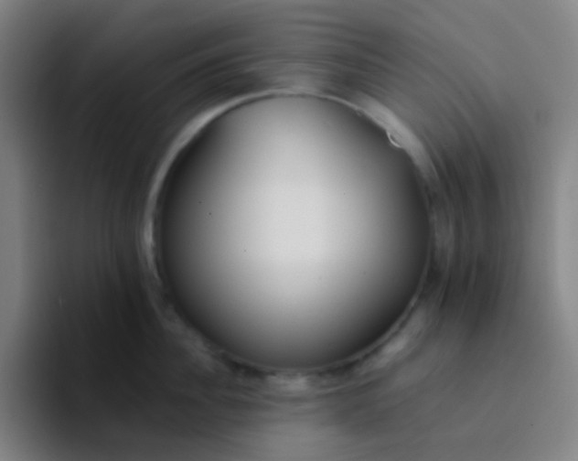 X0000094320956200711161927