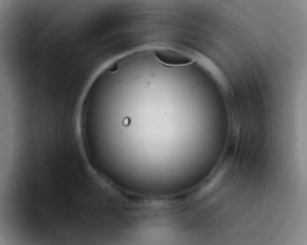 X0000094320958200711161927